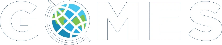 Gomes Media Strategies